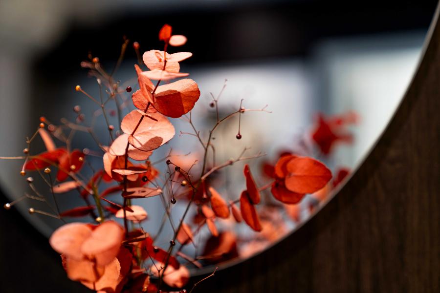 Hôtel De La Paix - Classic Room